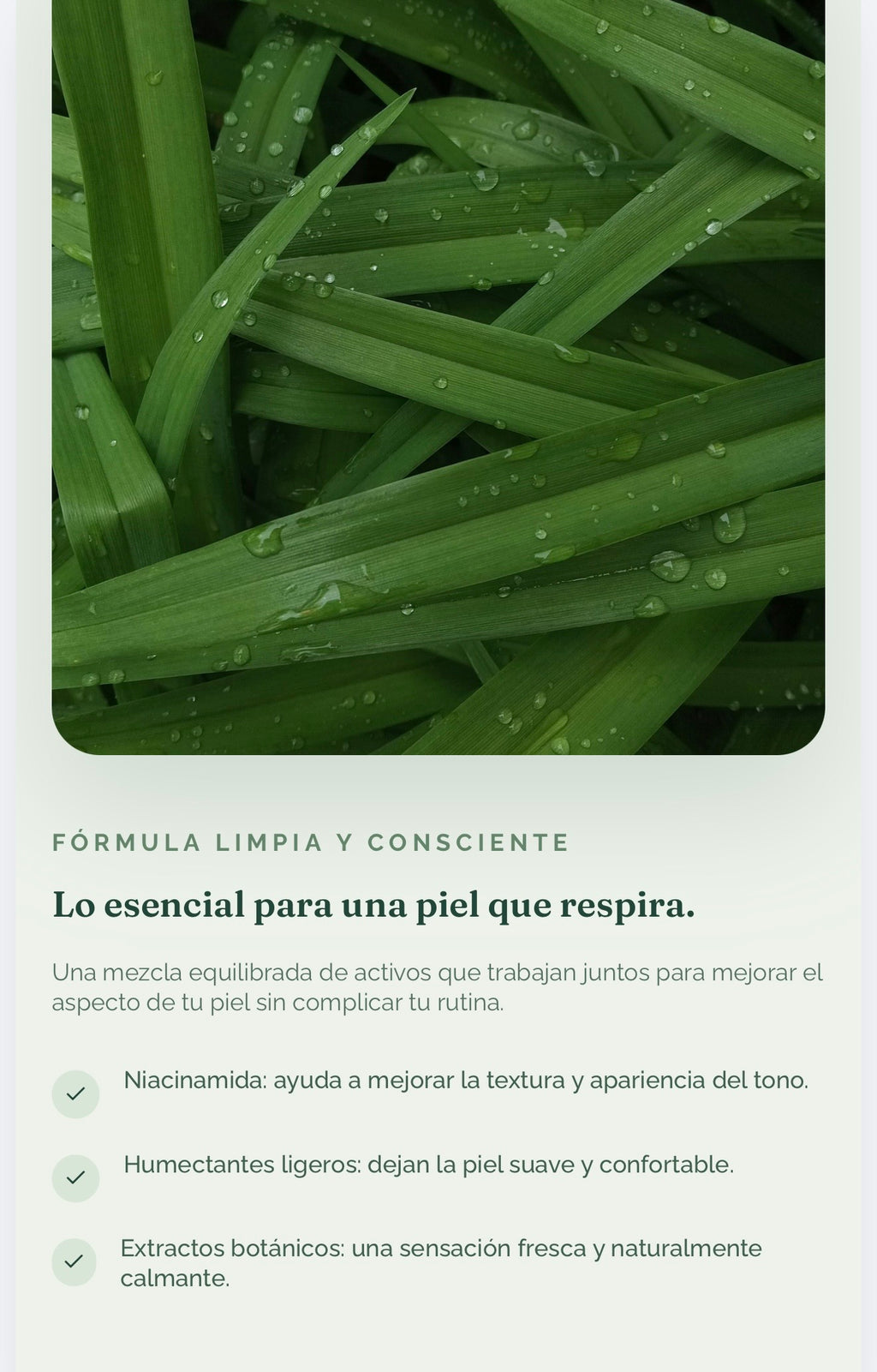 Serum de Niacinamida