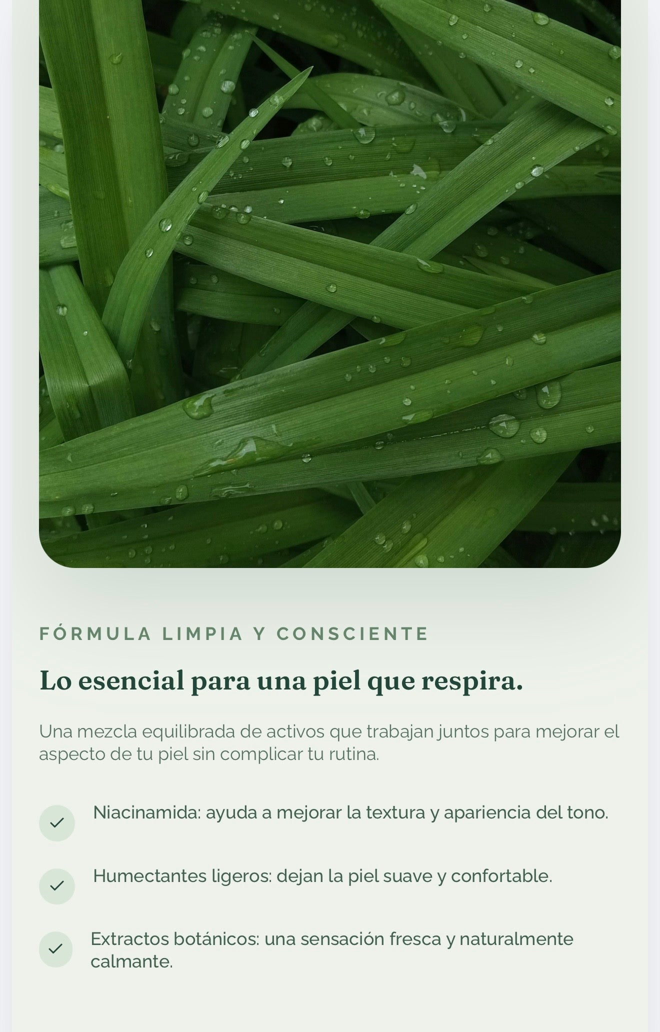 Serum de Niacinamida